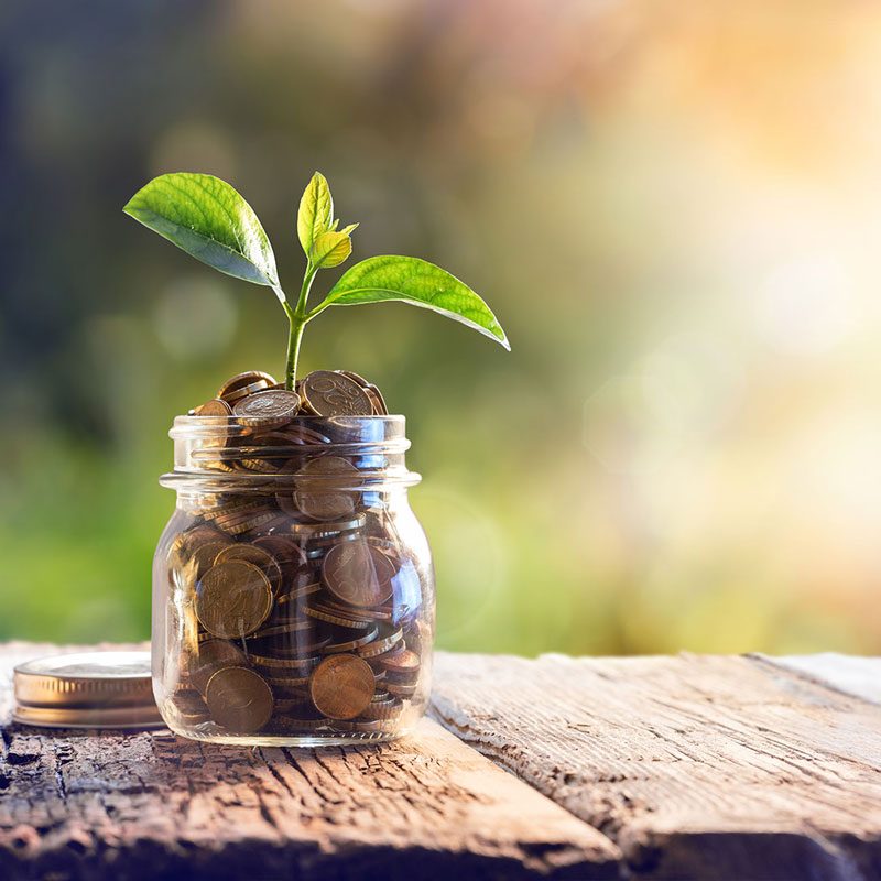 optioninfo